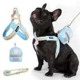 着脱簡単のY字型犬用ハーネスとリードのセット