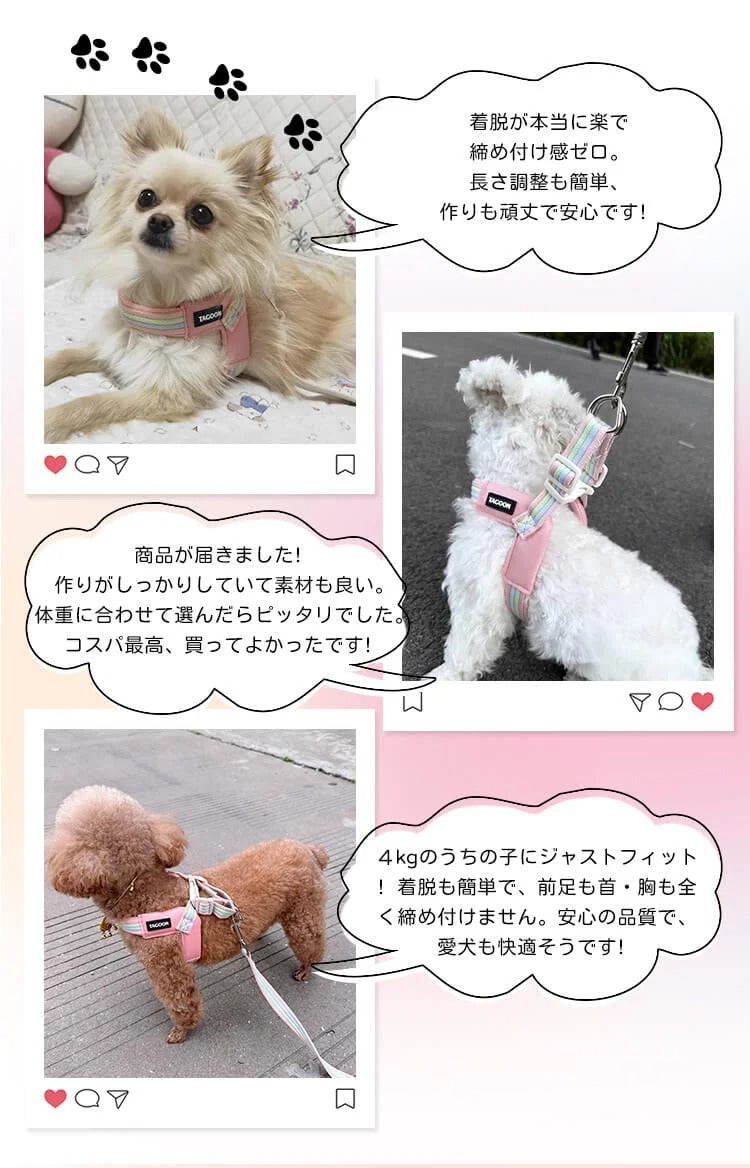 着脱簡単のY字型犬用ハーネスとリードのセット