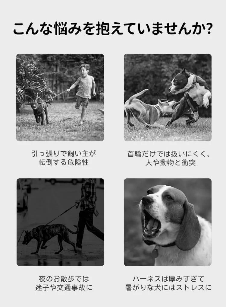 着脱簡単のY字型犬用ハーネスとリードのセット