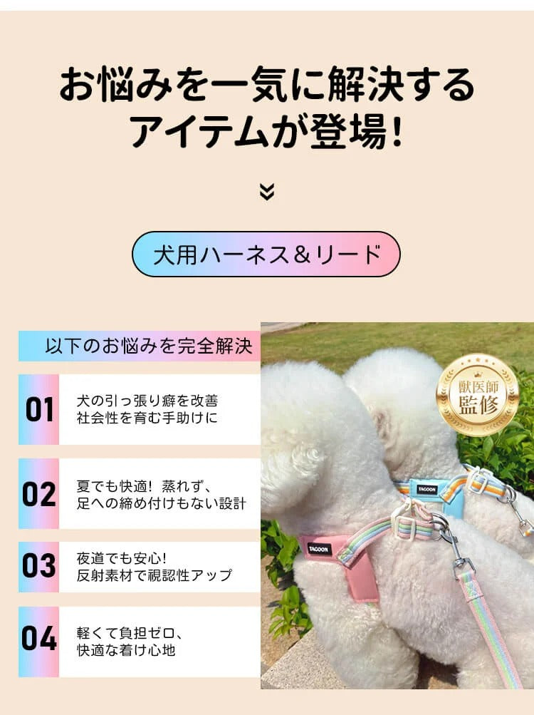 着脱簡単のY字型犬用ハーネスとリードのセット