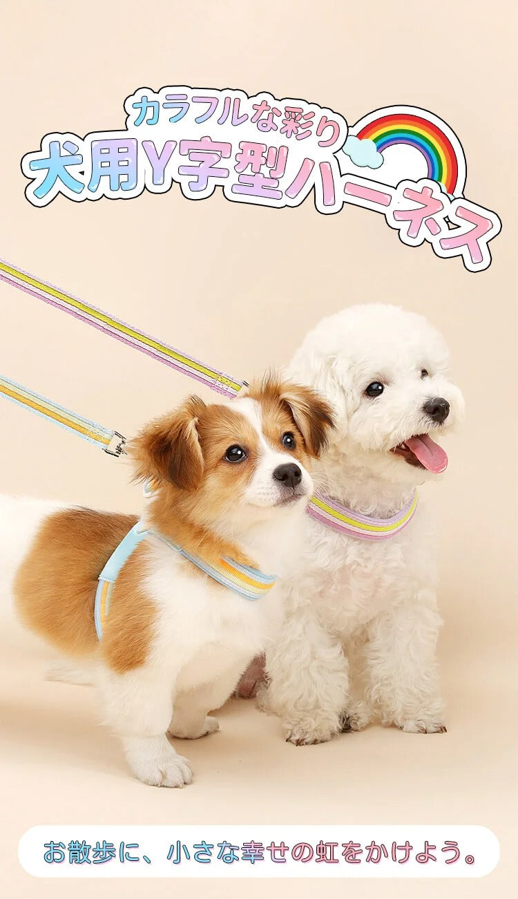 着脱簡単のY字型犬用ハーネスとリードのセット
