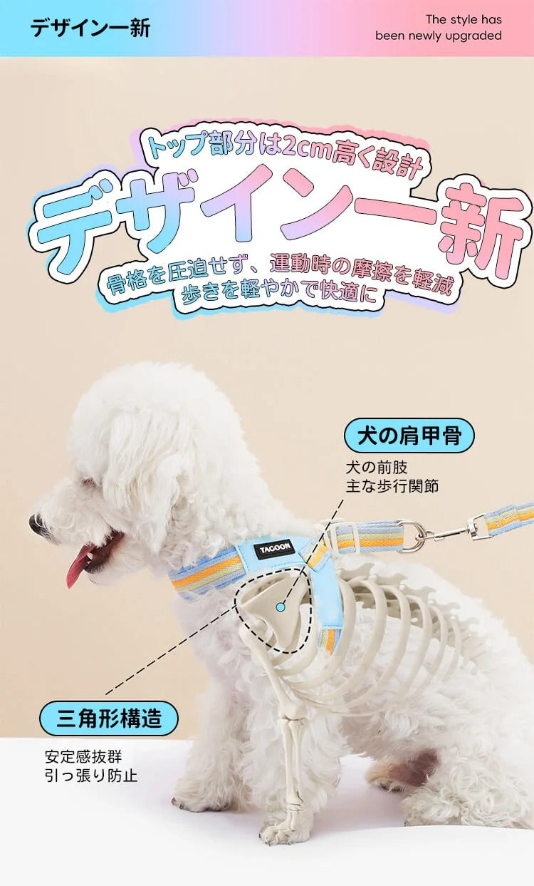 着脱簡単のY字型犬用ハーネスとリードのセット