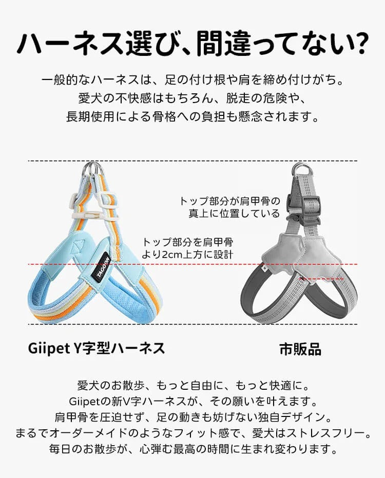 着脱簡単のY字型犬用ハーネスとリードのセット