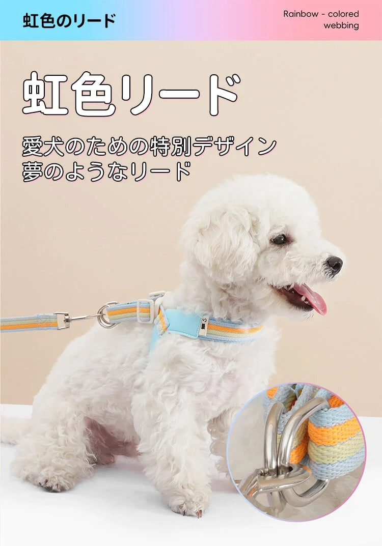 着脱簡単のY字型犬用ハーネスとリードのセット